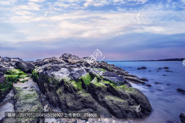 礁石,海邊
