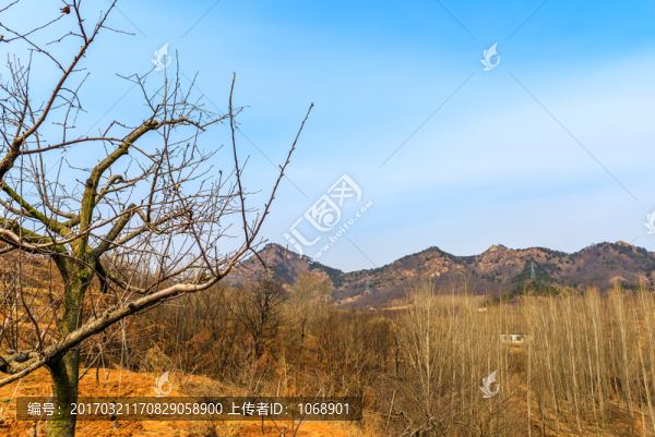 山鄉(xiāng)