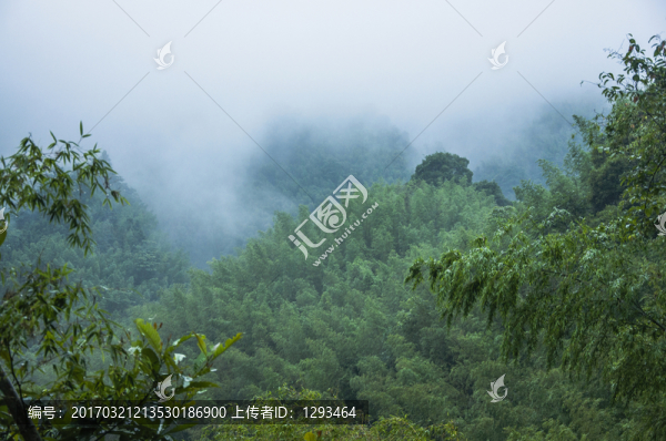 霧色山景