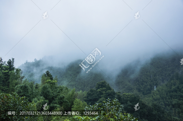 霧色山景