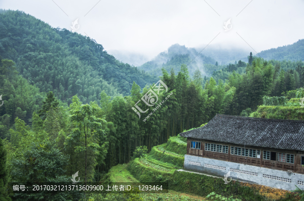 霧色山景