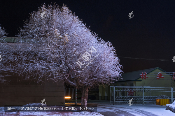 夜幕下春雪小鎮(zhèn)