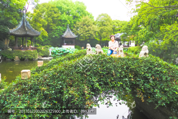 石橋,植物墻,園林小景