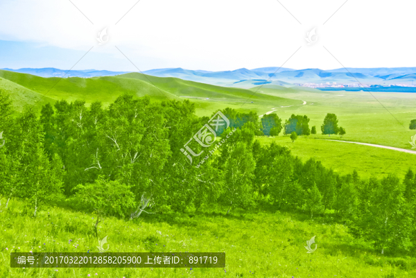 草原風(fēng)光
