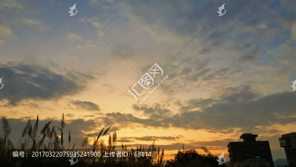 朝霞滿天,海港日出,天空,云彩