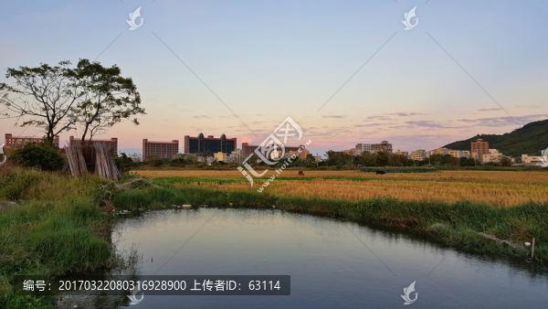 田園,風光,景色,插圖