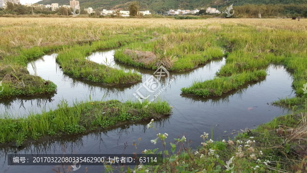 田園,風(fēng)光,景色,插圖