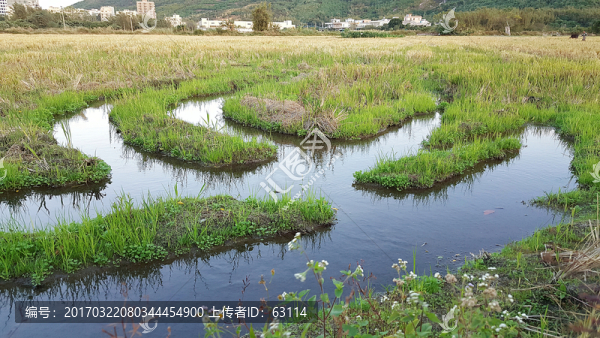田園,風(fēng)光,景色,插圖