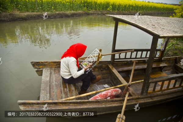 興化油菜花