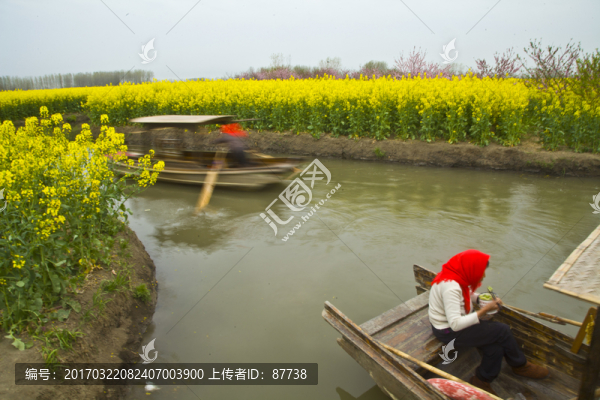 興化油菜花