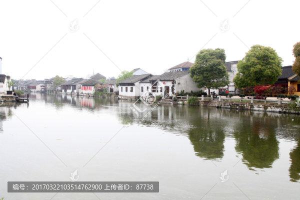 震澤