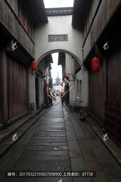 震澤