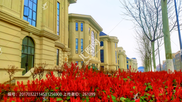 河南農(nóng)業(yè)大學校園風景