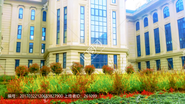 河南農(nóng)業(yè)大學(xué)校園風(fēng)景
