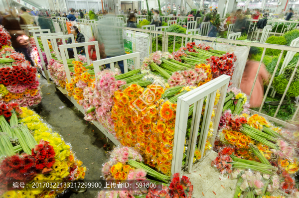 昆明斗南花市夜市