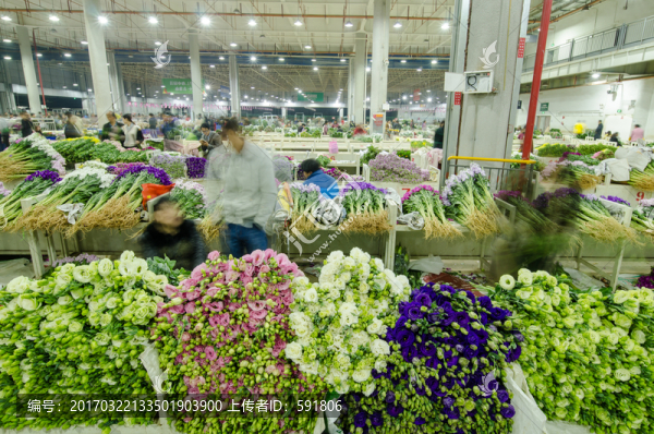 昆明斗南花市夜市