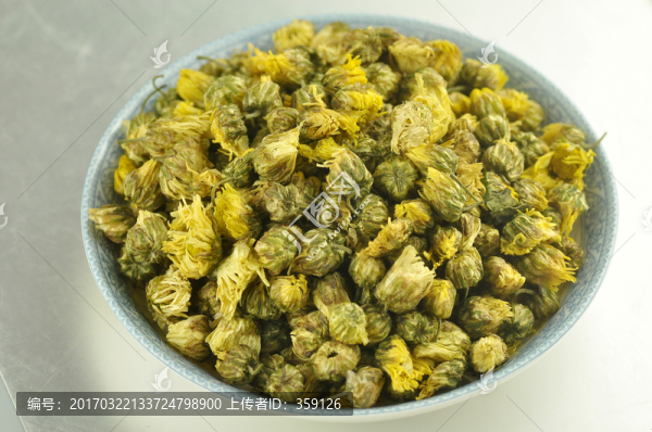 胎菊