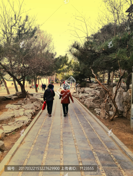 公園,老人