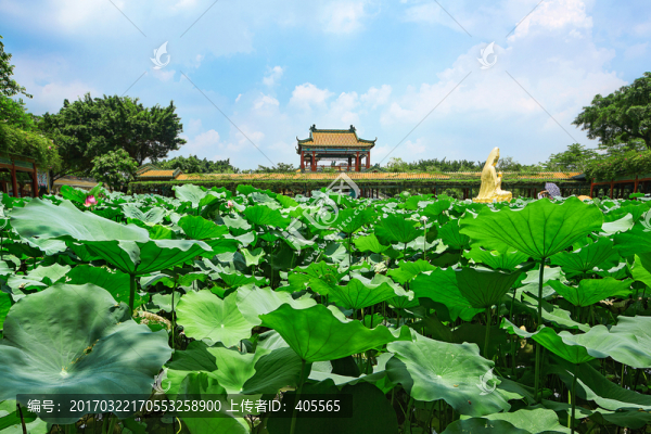 寶墨園景觀