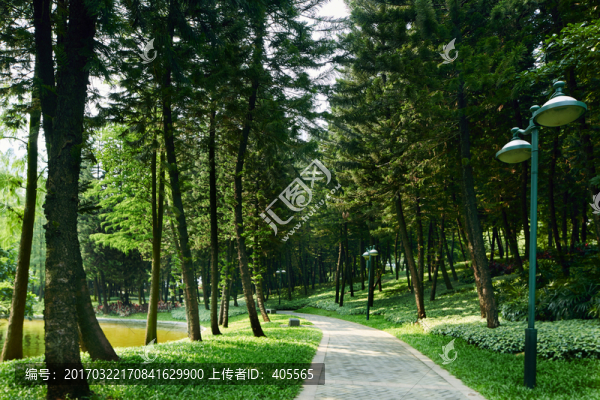 林間小道