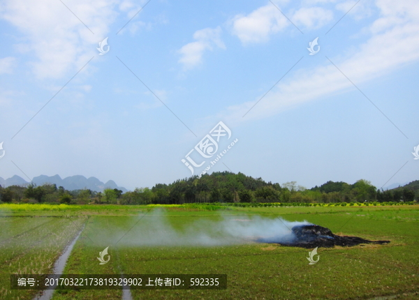 田園