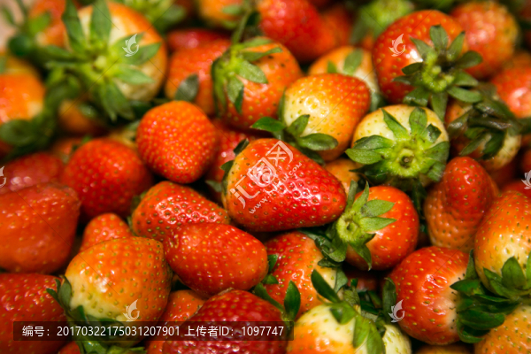 草莓