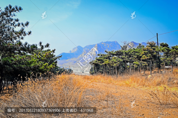 小路和群山