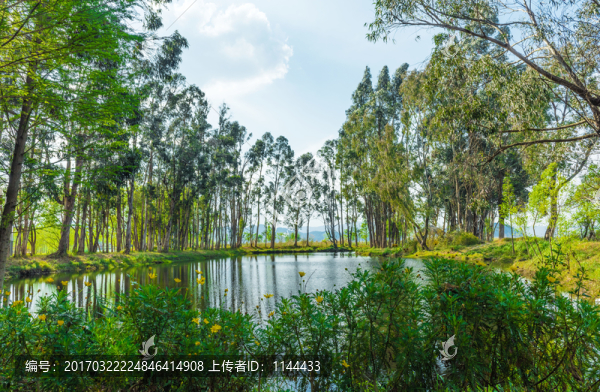 湖泊濕地