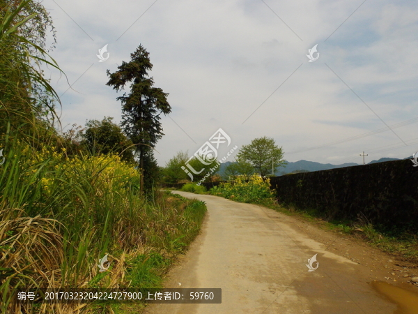 鄉(xiāng)村道路
