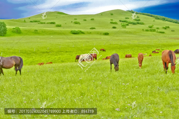 草原風(fēng)光,內(nèi)蒙古大草原