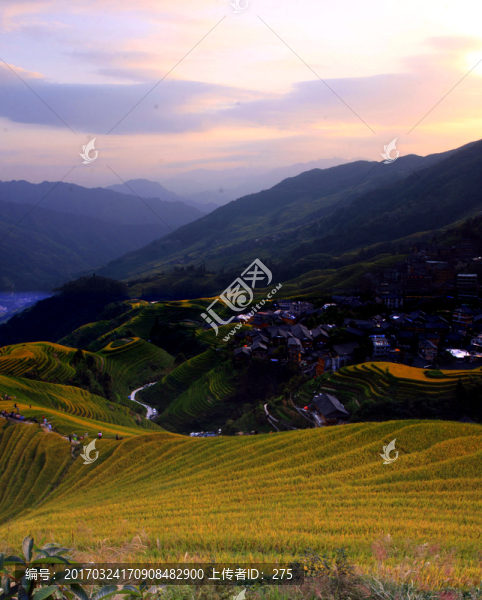 龍脊梯田,高格