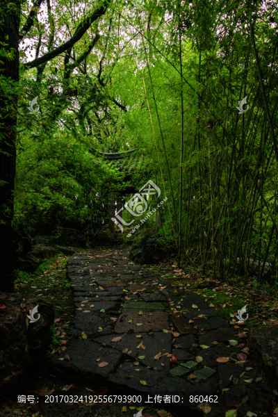 石頭小路,園林景觀