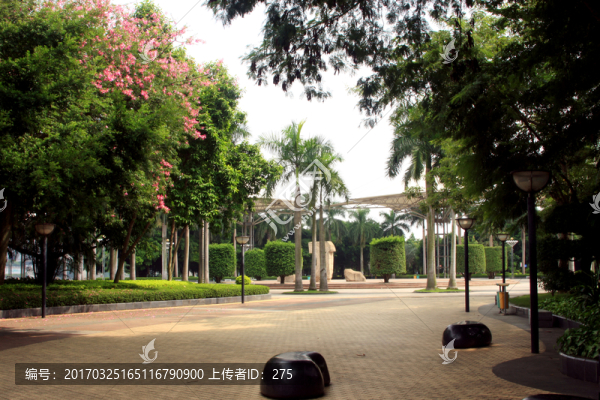 南寧城市風(fēng)光,高格