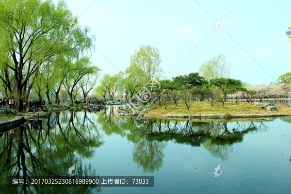 湖水柳岸