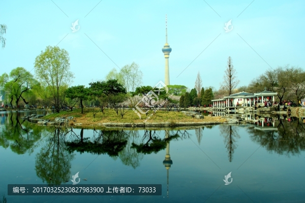 湖水柳岸