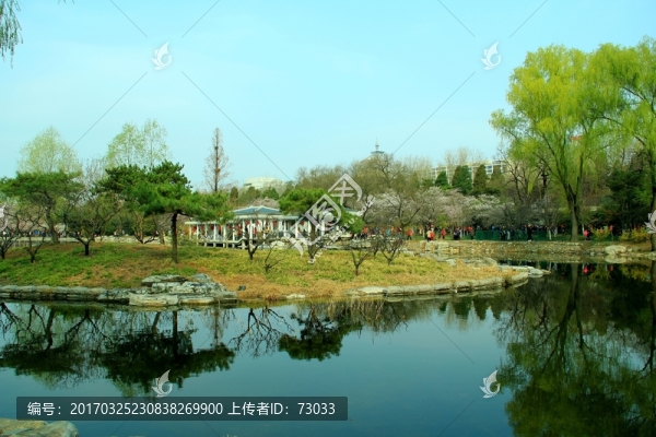 湖水柳岸