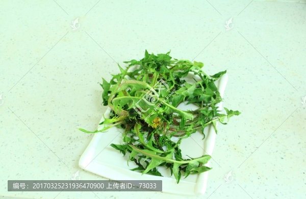 婆婆丁