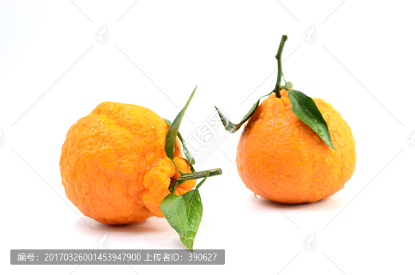 丑八怪