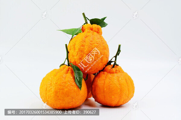 丑八怪