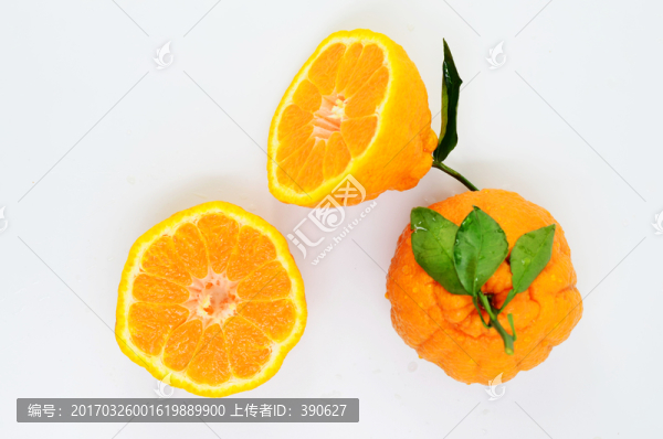 丑八怪,丑柑橘