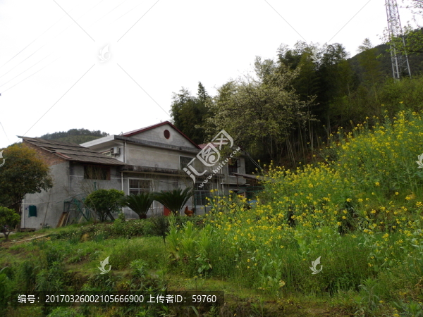山中民宅