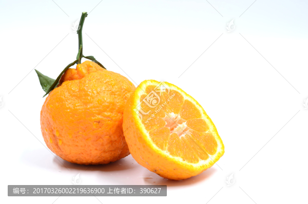 丑柑,丑八怪