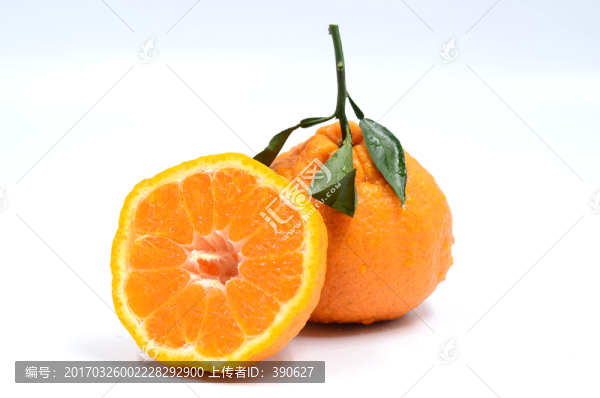 丑柑,丑八怪