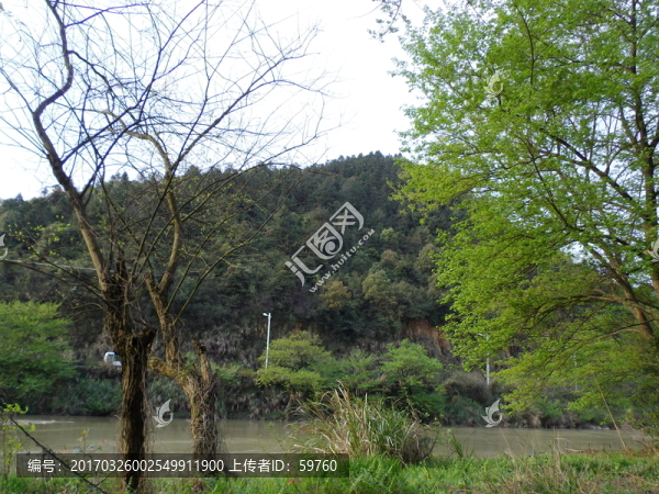 江邊早春