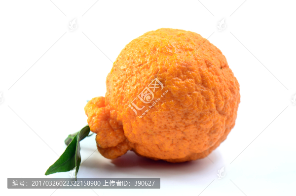 丑八怪