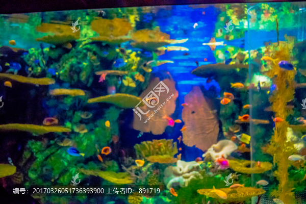 魚缸背景圖,海底世界