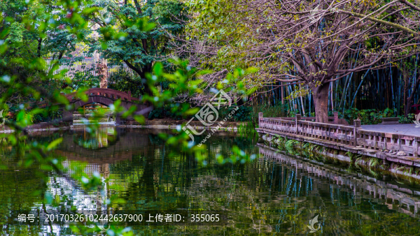 望江公園
