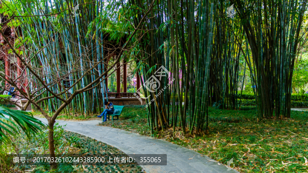 望江公園