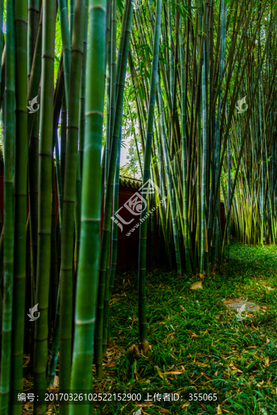 望江公園