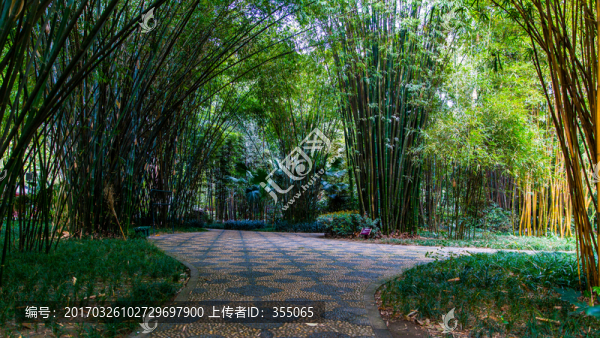 望江公園